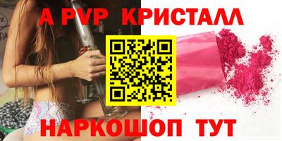 индика Нальчик