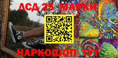 индика Нальчик