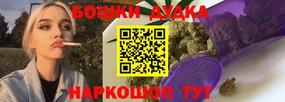 индика Нальчик