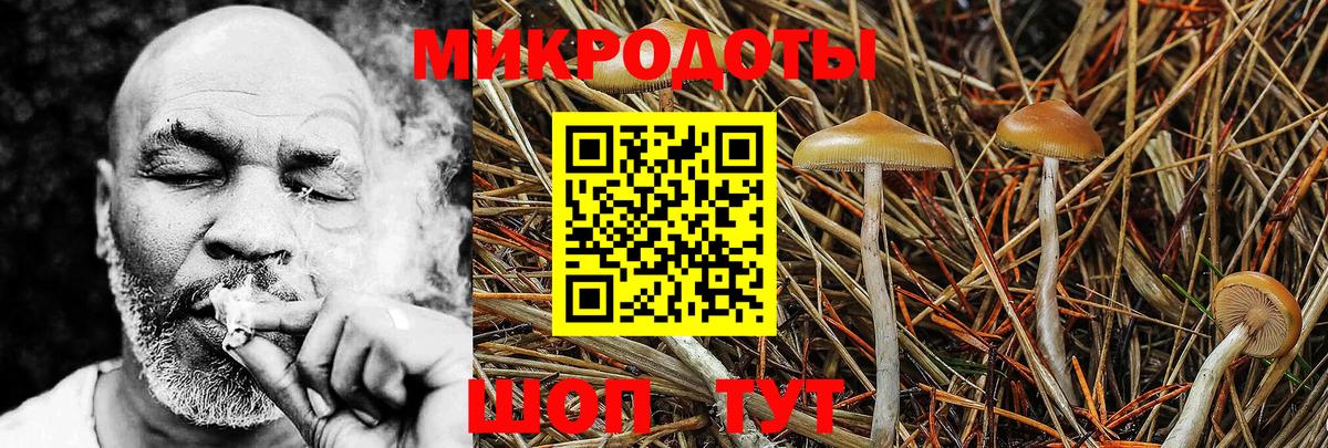 Галлюциногенные грибы GOLDEN TEACHER  Псилоцибиновые грибы Cubensis  Вход с VPN  Усть-Джегута 